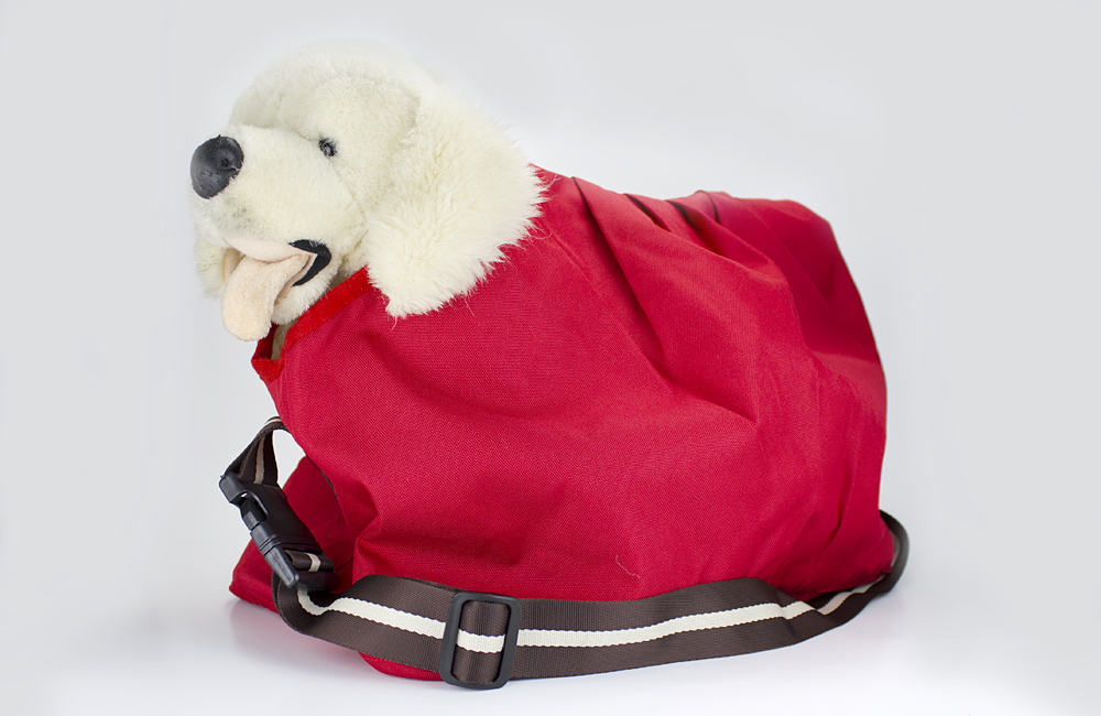 Carrying Case for puppies / small dogs up to 10 kg, color: Red