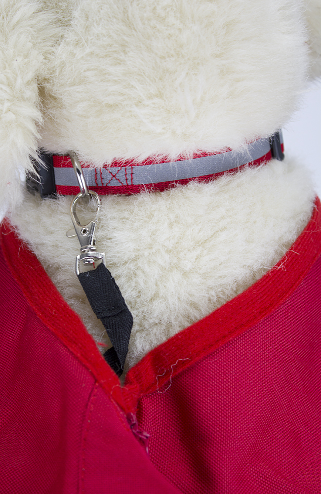 Umhänge-/Tragetasche für Welpen/kleine Hunde bis 10 kg, Farbe: Rot