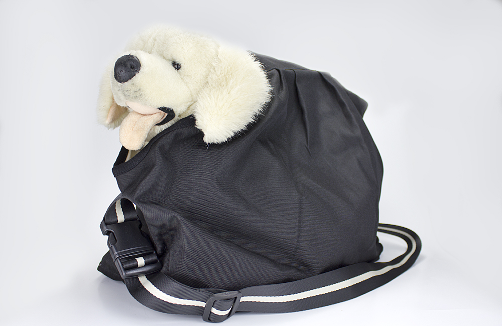 Carrying Case for puppies / small dogs up to 4 kg, color: Black